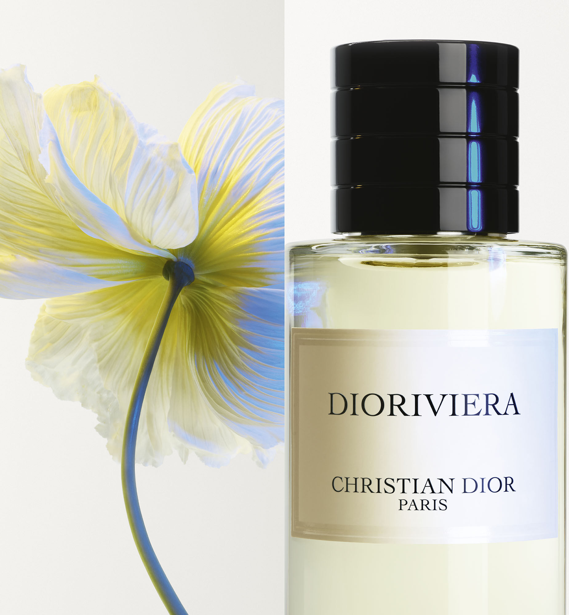 Dioriviera Eau de Parfum - Fig and Rose Notes | DIOR
