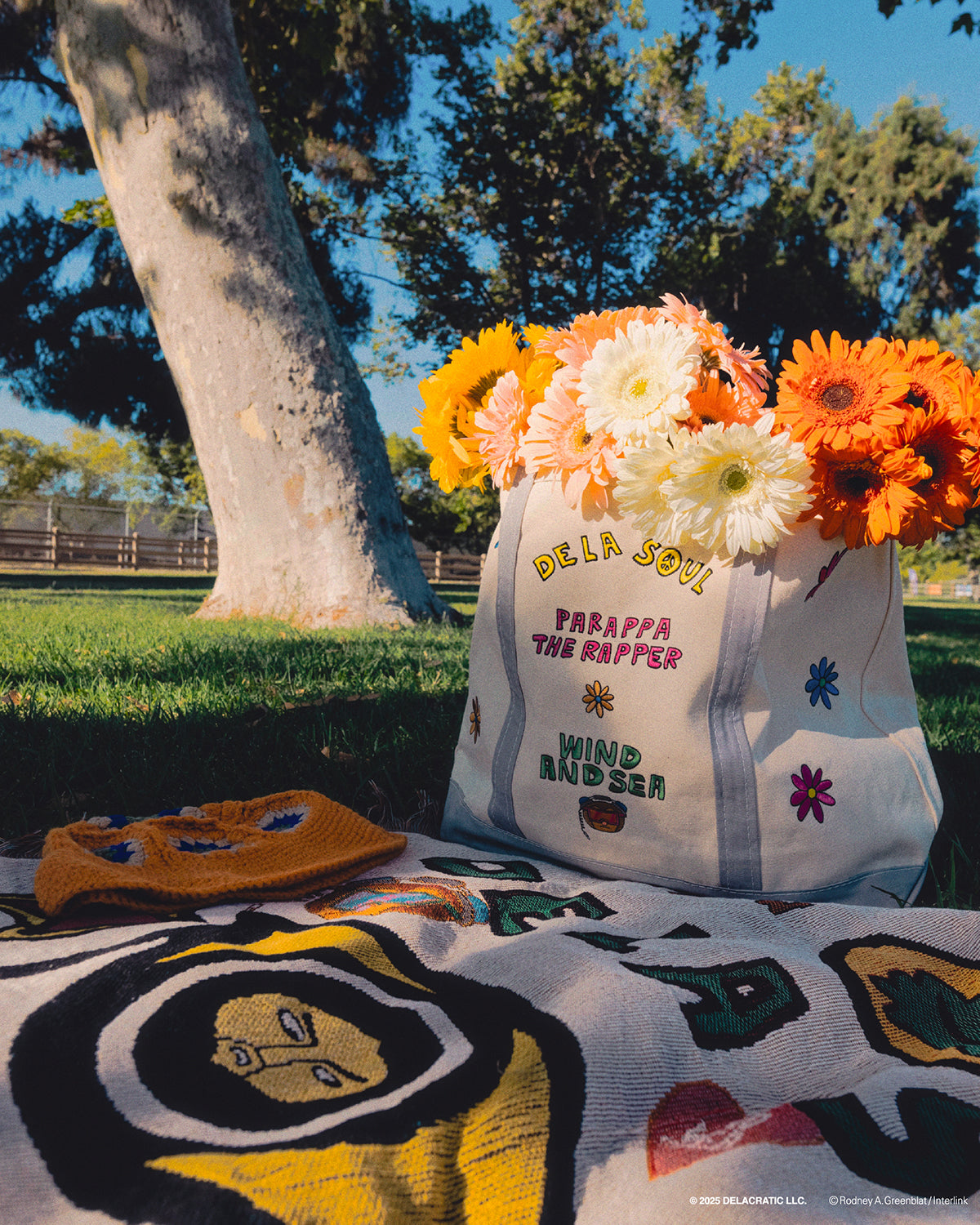 PARAPPA x DE LA SOUL x WDS BLANKET – WIND AND SEA