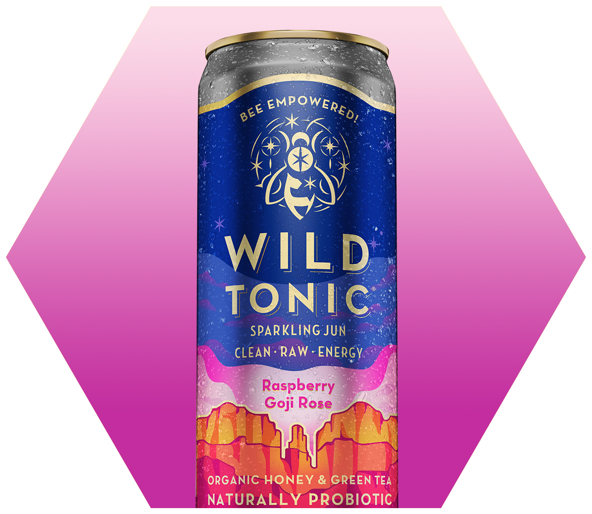 Raspberry Goji Rose 6-Pack – WILD TONIC
