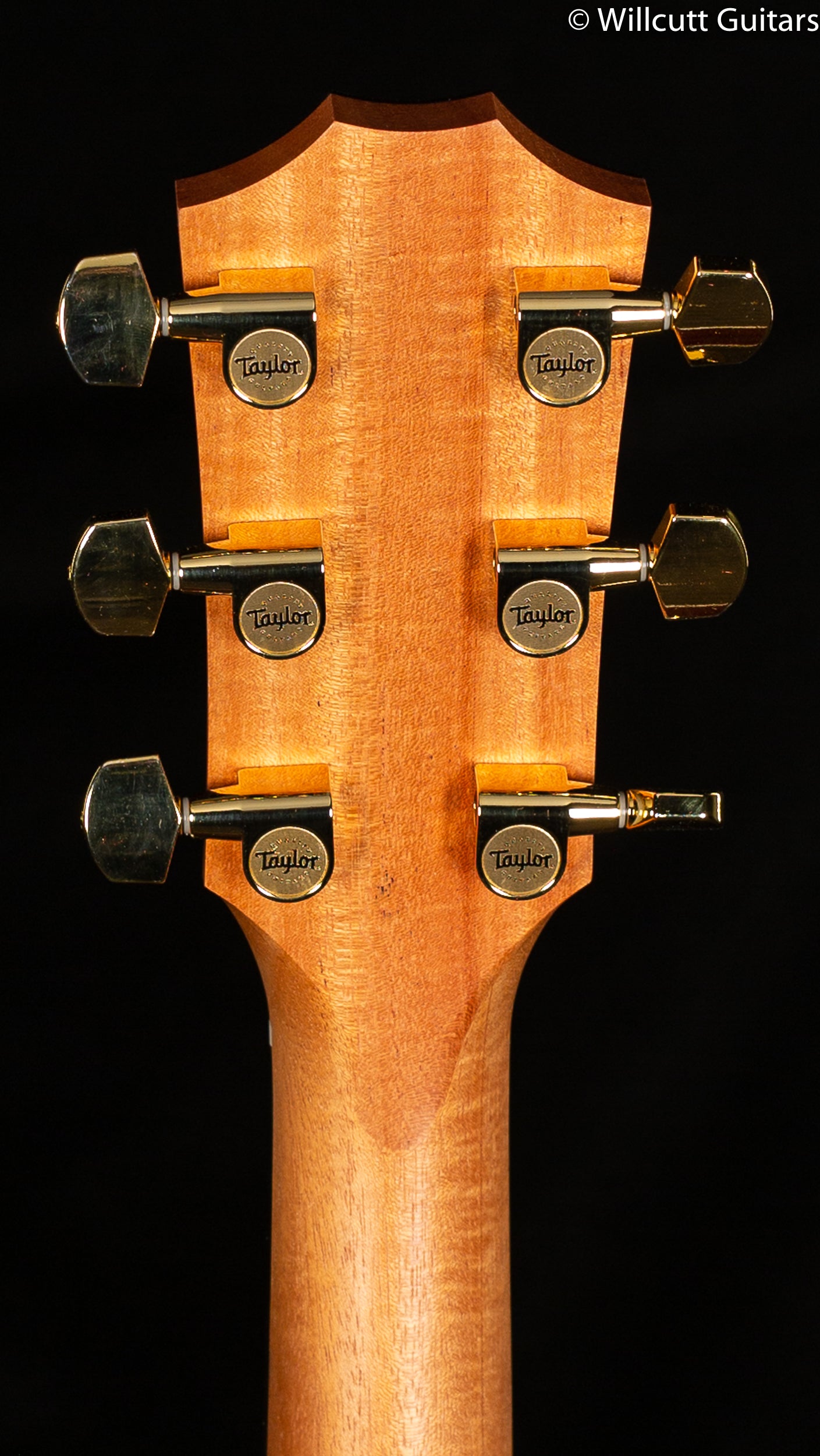 Taylor 214ce DLX ES2 - Willcutt Guitars