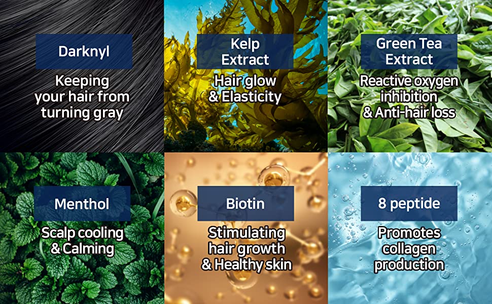 Hairbeam Hair & Scalp Care Kit – WiserLiving.net