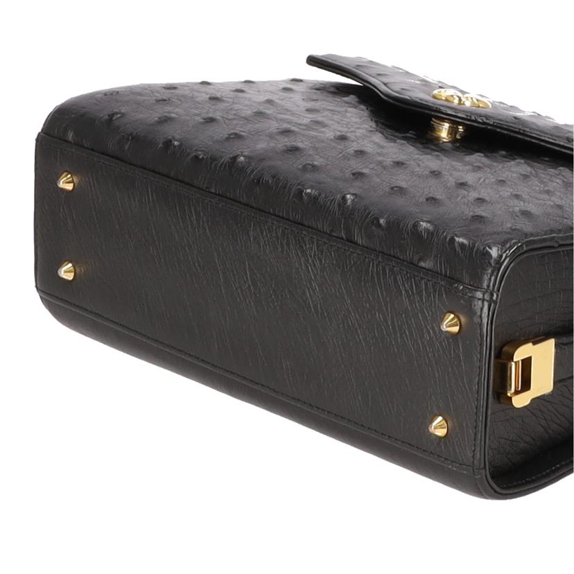 オーストリッチ ｵｰｽﾄﾘｯﾁ/カジュアルバッグ｜WonderREX-ONLINE 公式通販