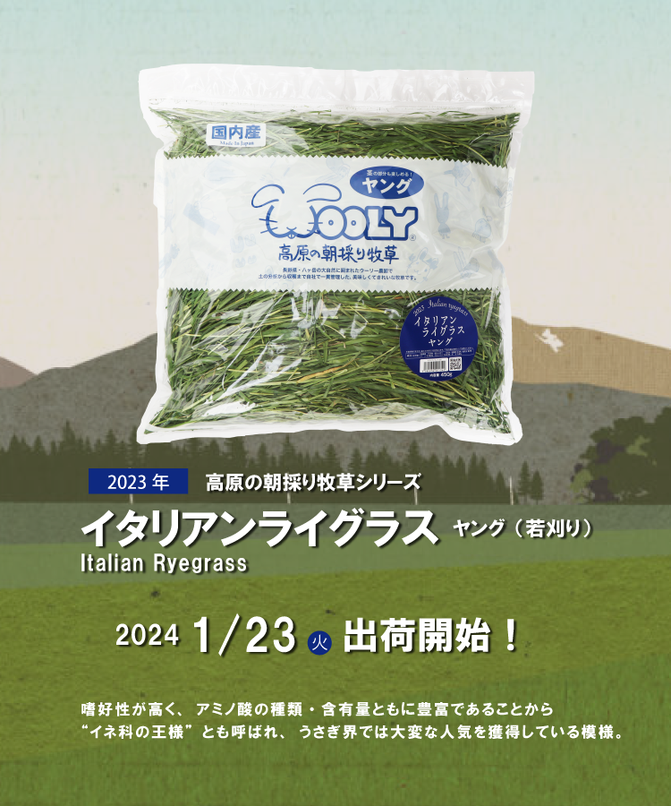 出荷情報 イタリアンライグラスヤング - 株式会社ウーリー｜うさぎの食