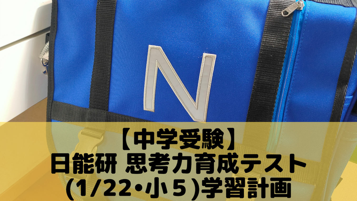 中学受験】日能研 思考力育成テスト⑤(1/22)学習計画 | ポチたま中学受験