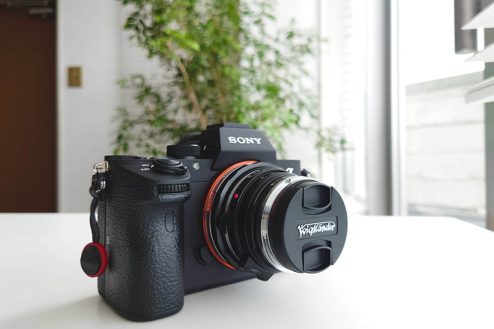 オールドレンズのような柔らかさと、現代的な解像力。写真の楽しみ方が