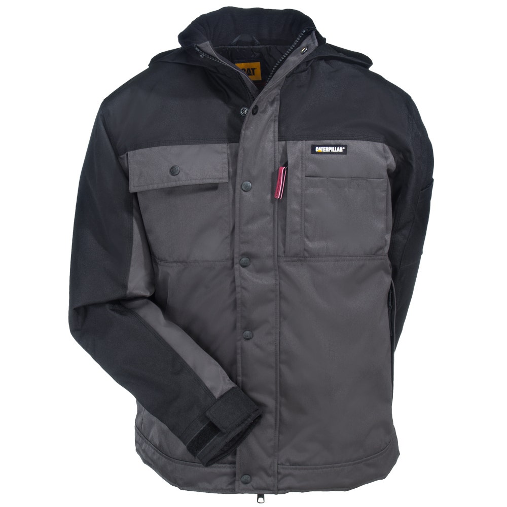 cat-missed-_2-f_01.jpg?quality