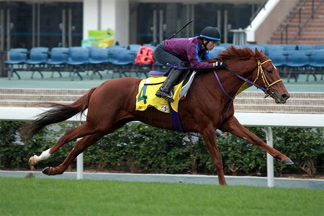 香港国際 現地情報】レッツゴードンキ梅田調教師「2年分の思いをぶつけ
