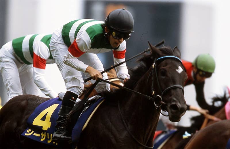 シーザリオ（Cesario） | 競馬データベース | JRA-VAN World - 海外