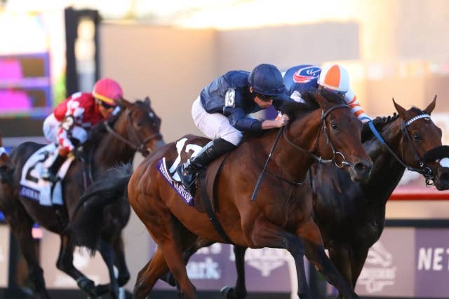 仏2000ギニー馬アンリマティスが引退、クールモアスタッドで種牡馬入り