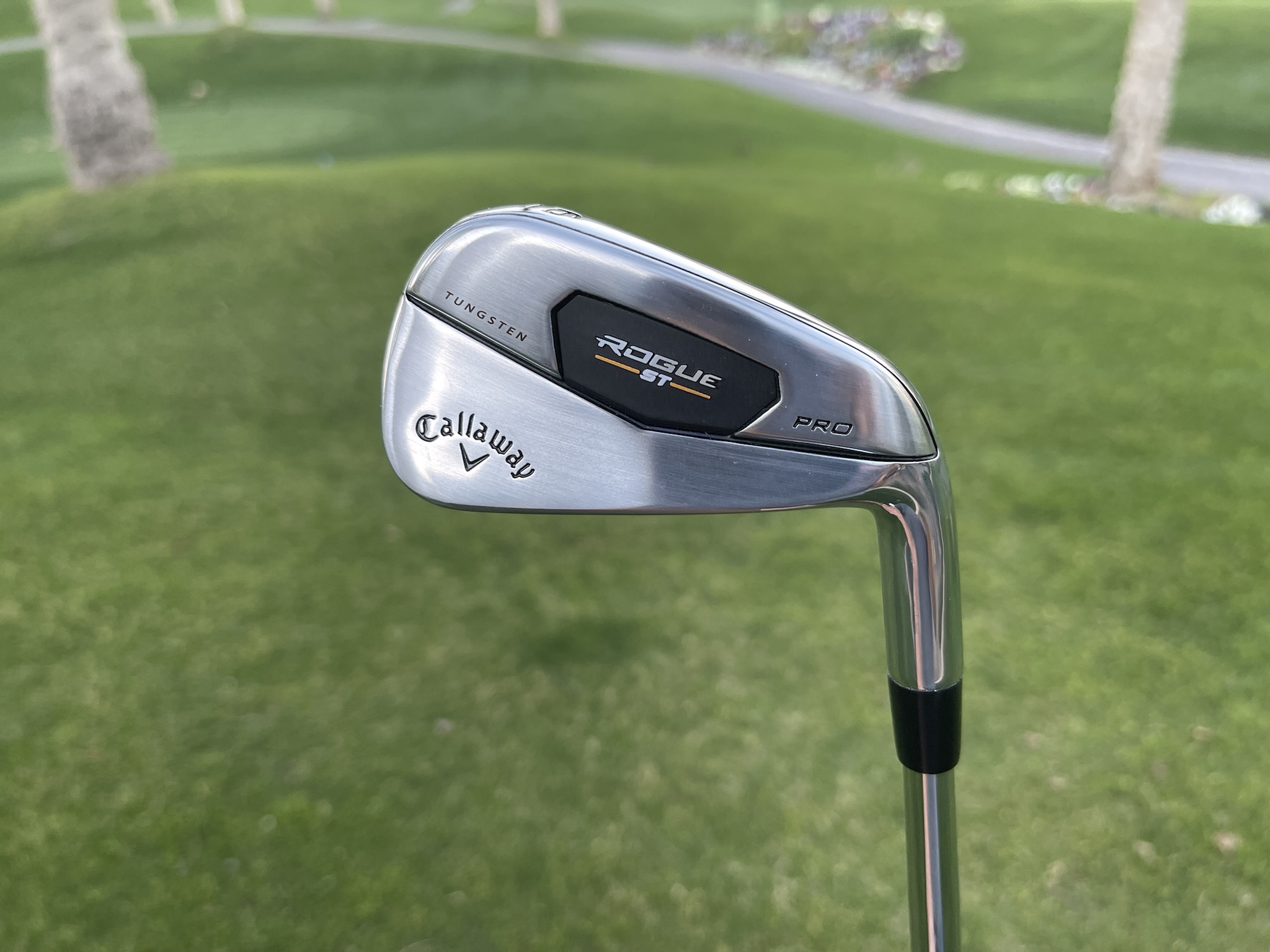 These Irons were made for me: The Rogue ST Pro w/ New Video