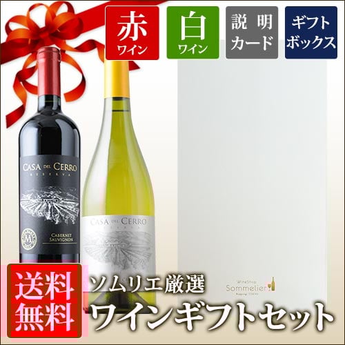 送料無料 12本収納ワインセラー +LOUNGE （プラスラウンジ）LNE-W312B