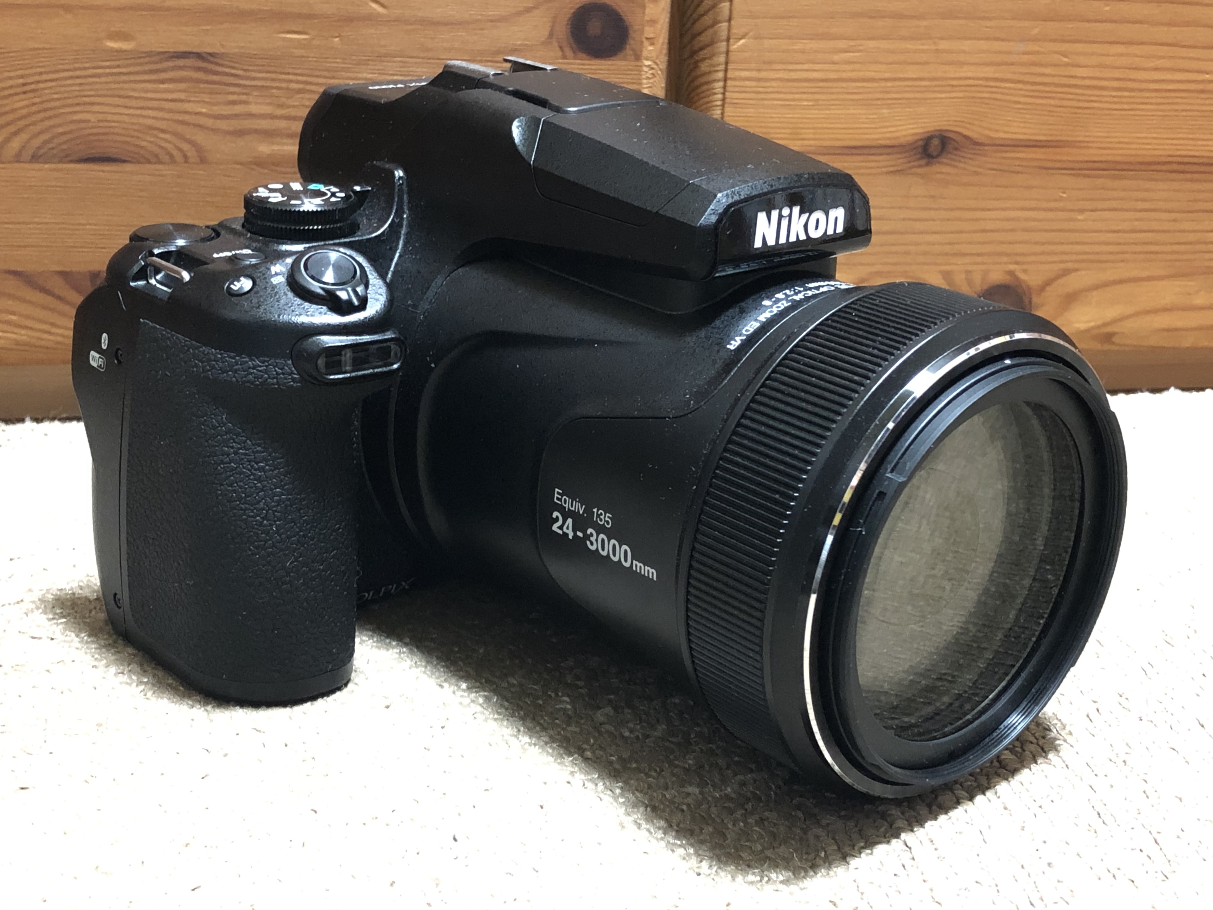 Nikon P1000でカメラデビューした初心者が野鳥撮影に挑戦してみました