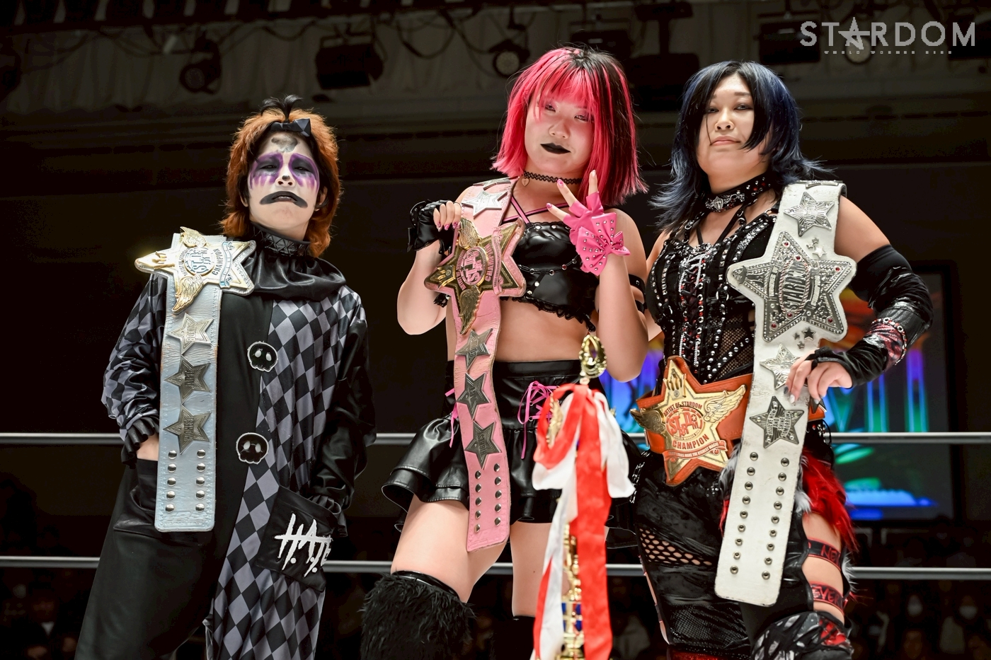 発掘品✨ 安納サオリ 中野たむ ポートレート③ 女子プロレス STARDOM