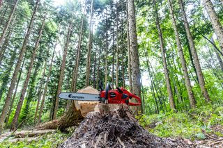 トップハンドルソー | ゼノア