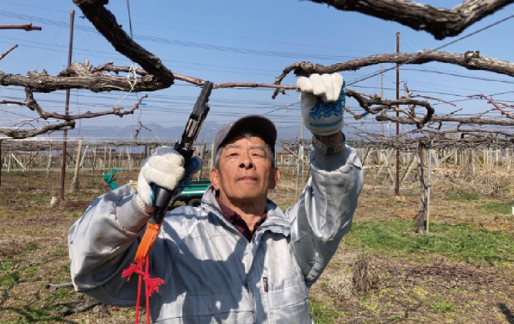 MMCP BLUSH 2024｜seven cedars winery