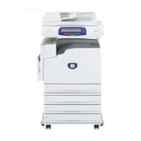 Fab Cerebellum Processor CF プロモ 2枚 Fab Cerebellum Processor CF