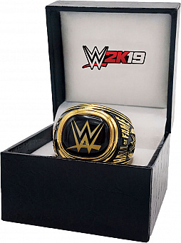 WWE 2K19」のコレクターズエディションは，リック・フレアーを