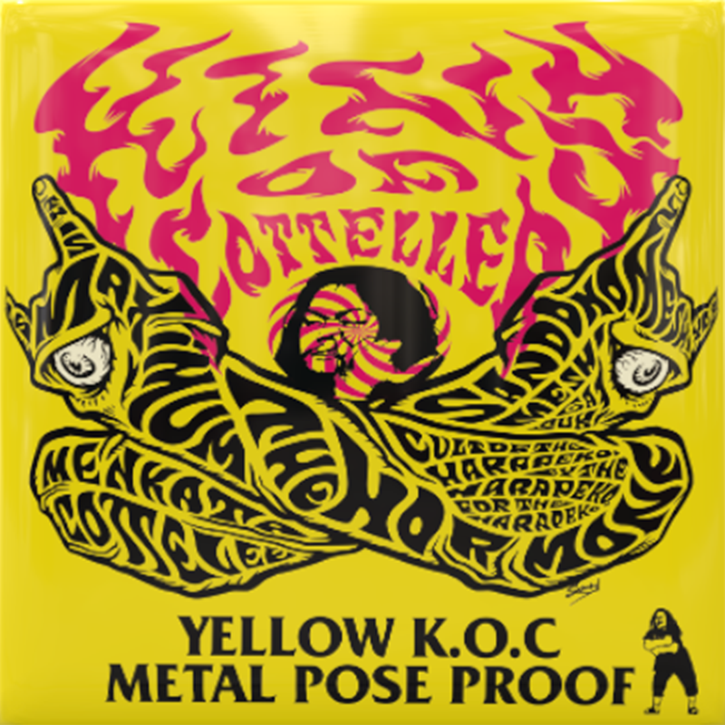 PROOF GALLERY｜マキシマム ザ ホルモン Official Site