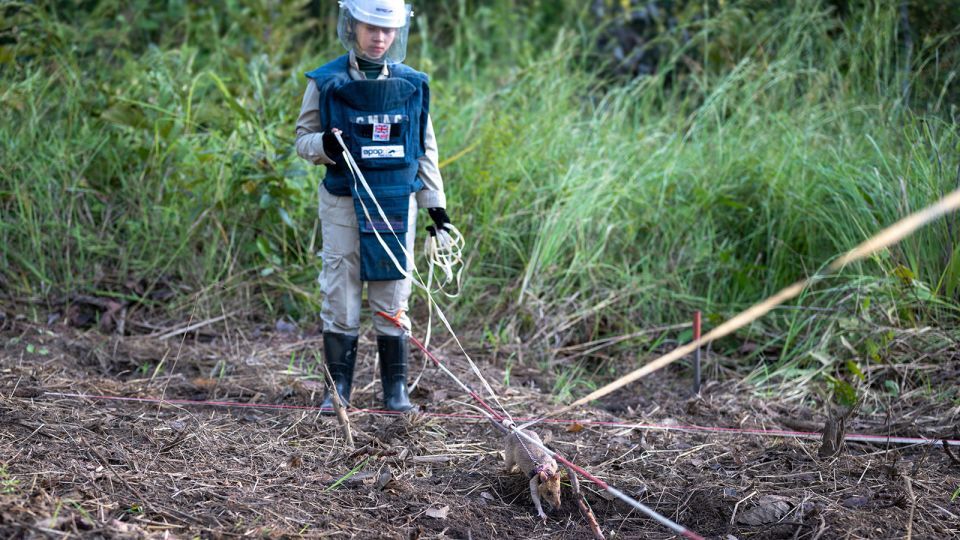人の命を救う探知ネズミ「ロニン」、地雷発見の世界記録更新 - CNN.co.jp