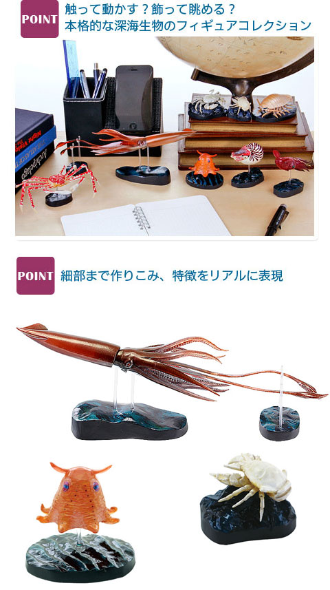 動物 生物 立体図鑑 深海生物プレミアムボックス / カロラータ