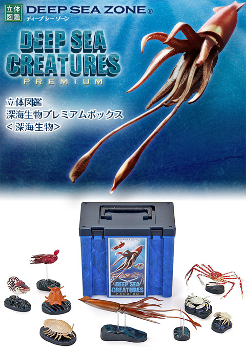動物 生物 立体図鑑 深海生物プレミアムボックス / カロラータ