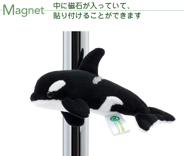 マグネット マスコット シャチ│動物 カロラータ オンラインショップ