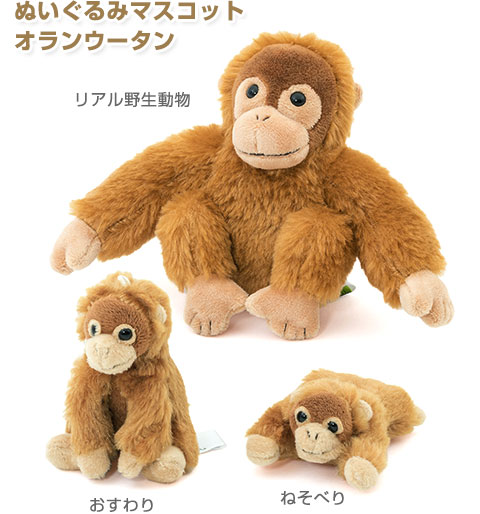 動物 生物 ぬいぐるみマスコット ねそべり オランウータン