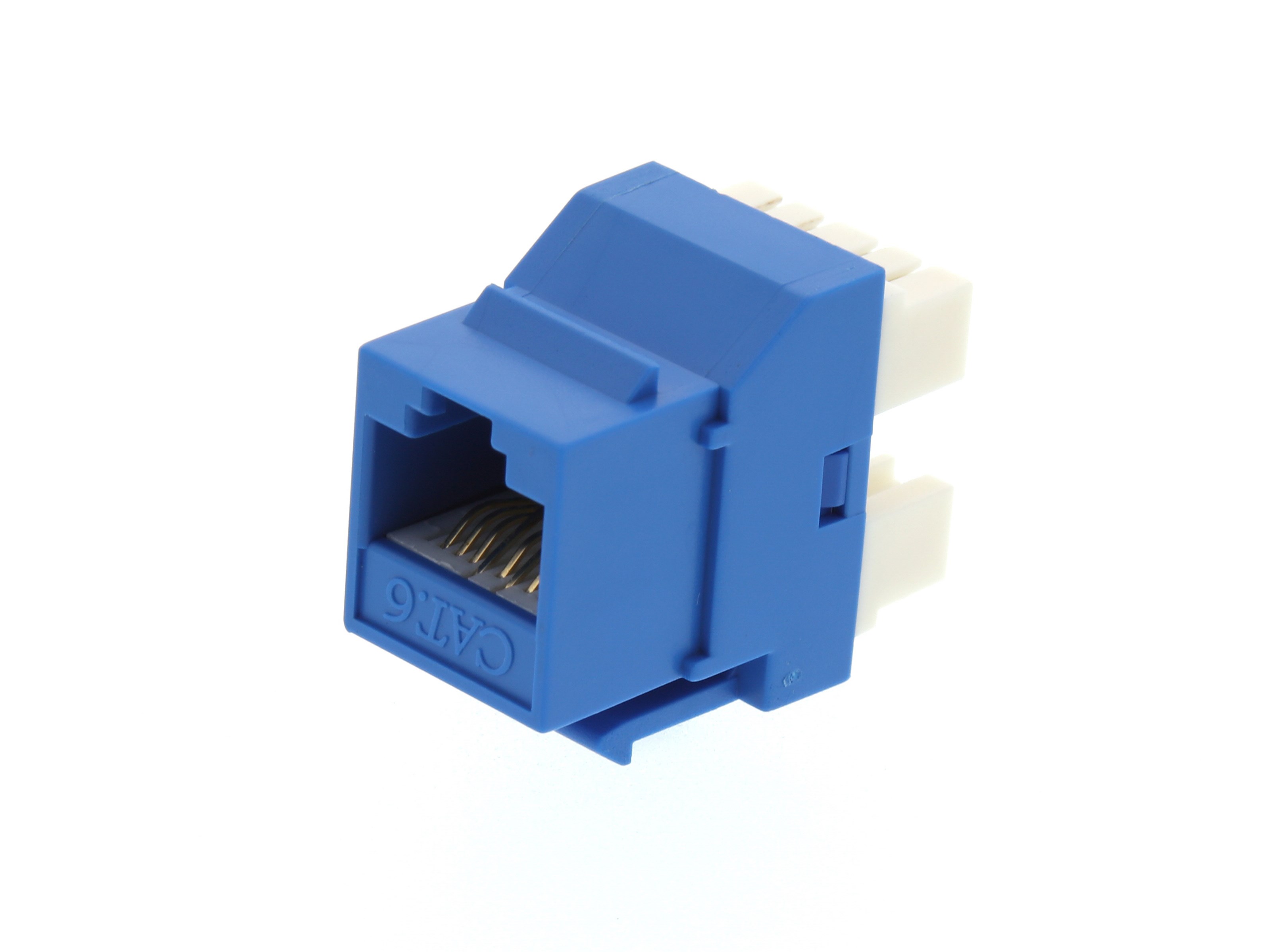 CAT6 SpeedTerm Keystone Jack 180 Degree 110 UTP Blue | Computer