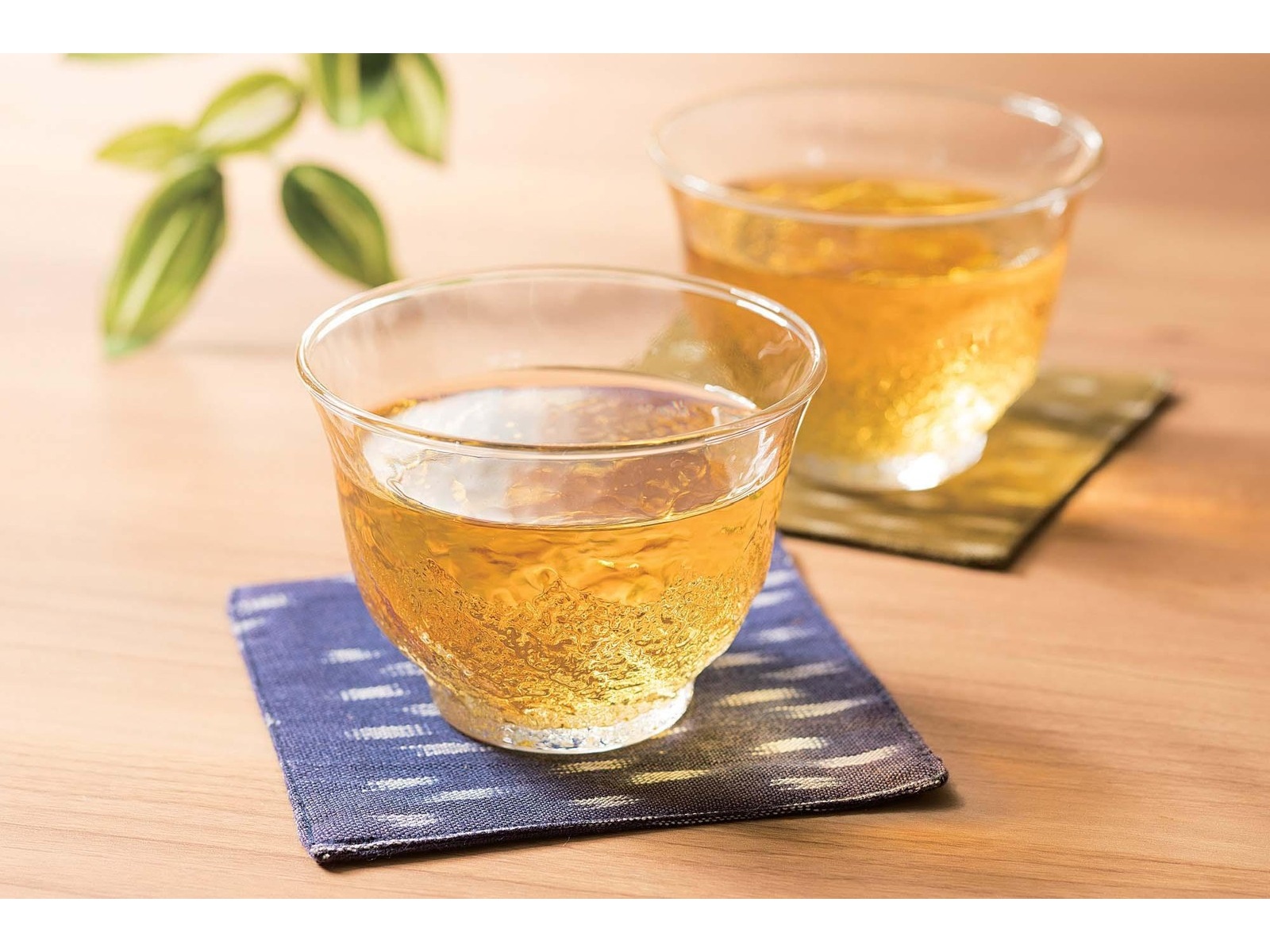 CO・OP 緑茶 1箱(2L×6本入)| コープこうべネット