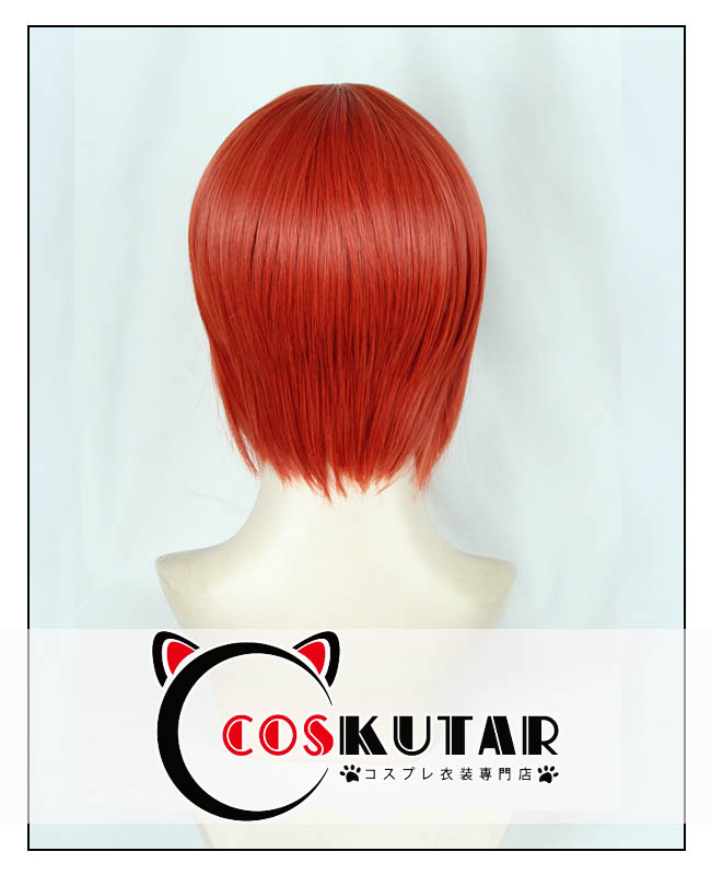 魔法使いの嫁 羽鳥智世 コスプレウィッグ｜COSKUTARコスプレ衣装専門店