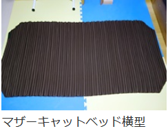 不思議な施術道具 マザーキャット | 湯沢の整体【女性院長で安心
