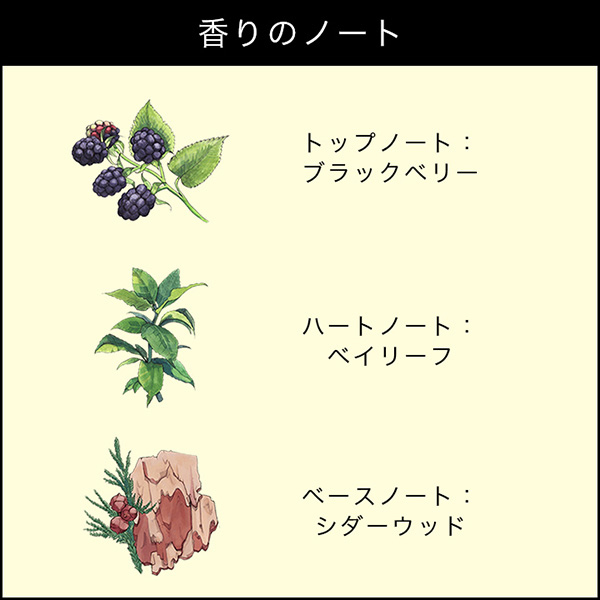 ブラックベリー & ベイ コロン / Jo Malone London(ジョー マローン