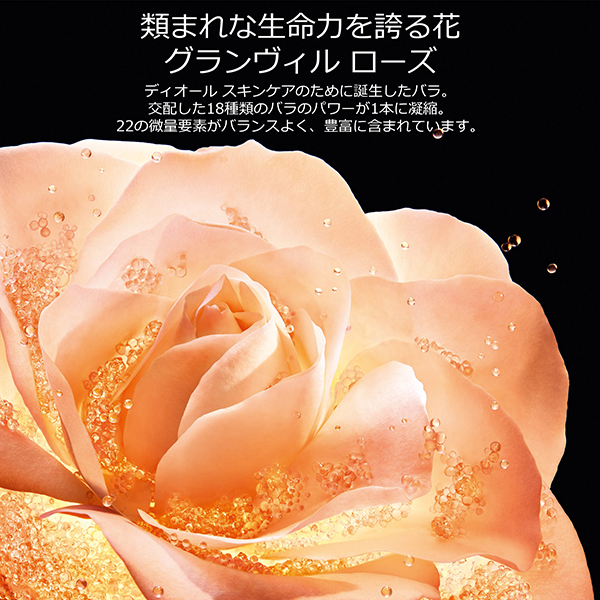 プレステージ ラ クレーム N / ディオール(フェイスクリーム