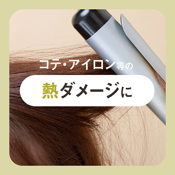 EXグロストリートメント FOR HEAT DAMAGE / THE ANSWER(トリートメント