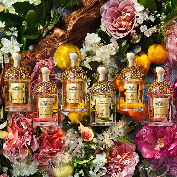 アクア アレゴリア フォルテ ボスカ ヴァニラ / ゲラン(香水, 香水