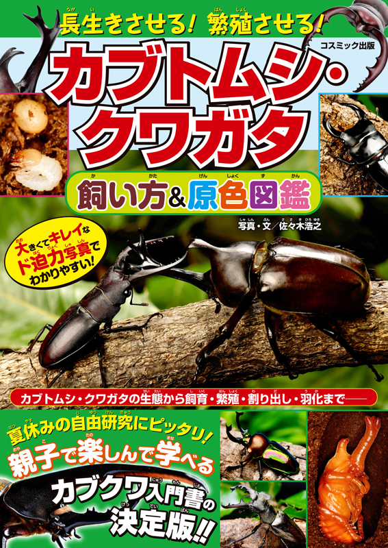 長生きさせる!繁殖させる!カブトムシ・クワガタ飼い方&原色図鑑