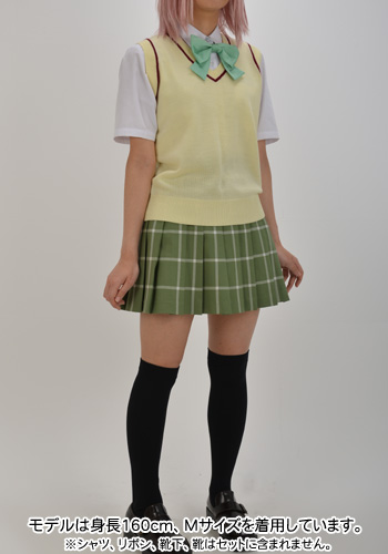私立彩南高校女子制服 スカート [To LOVEる-とらぶる-ダークネス