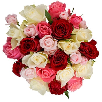 グラデーション ローズ ブーケ 24本束 ホワイト/ピンク/レッド