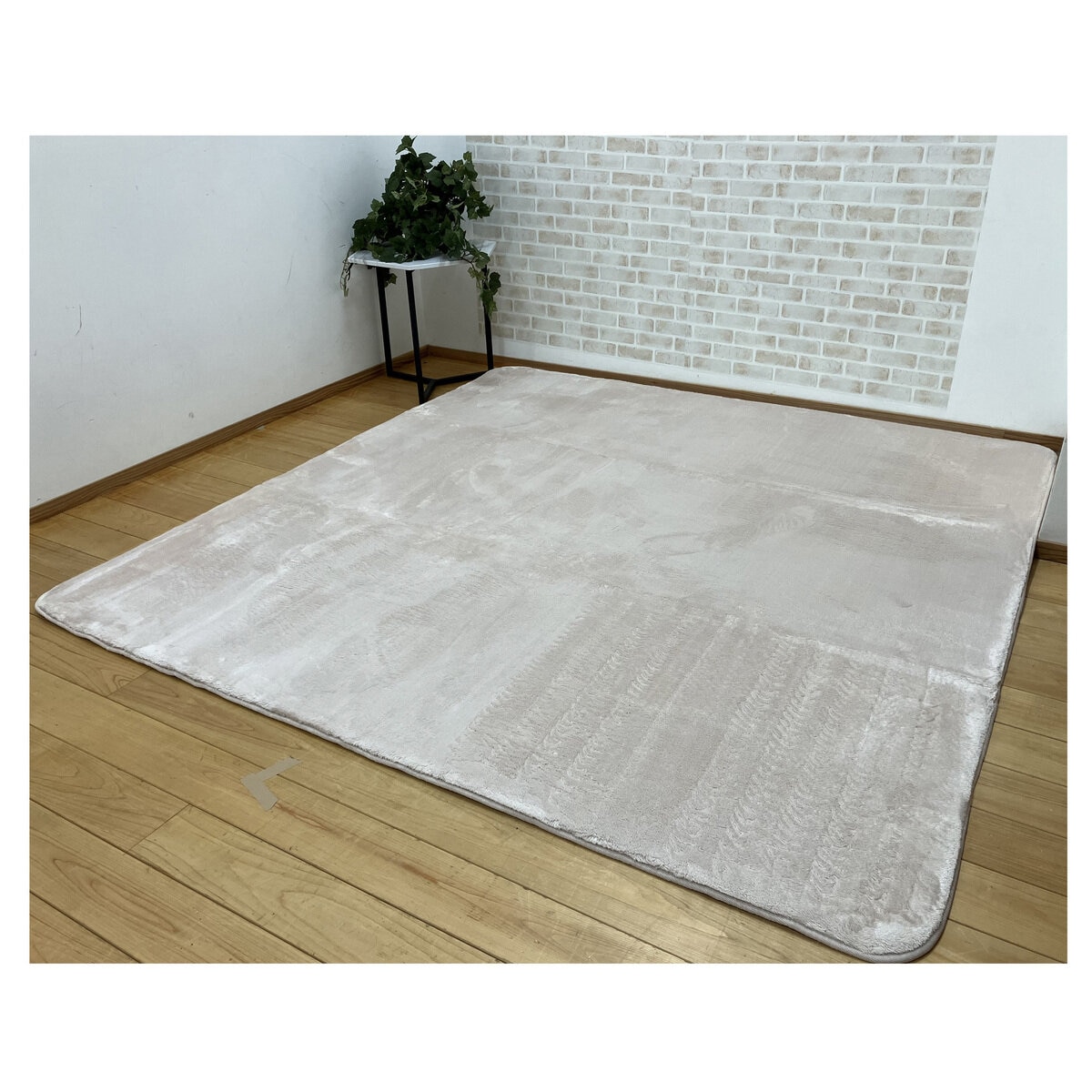 昭和西川 極厚フランネルラグ 180 x 180cm | Costco Japan