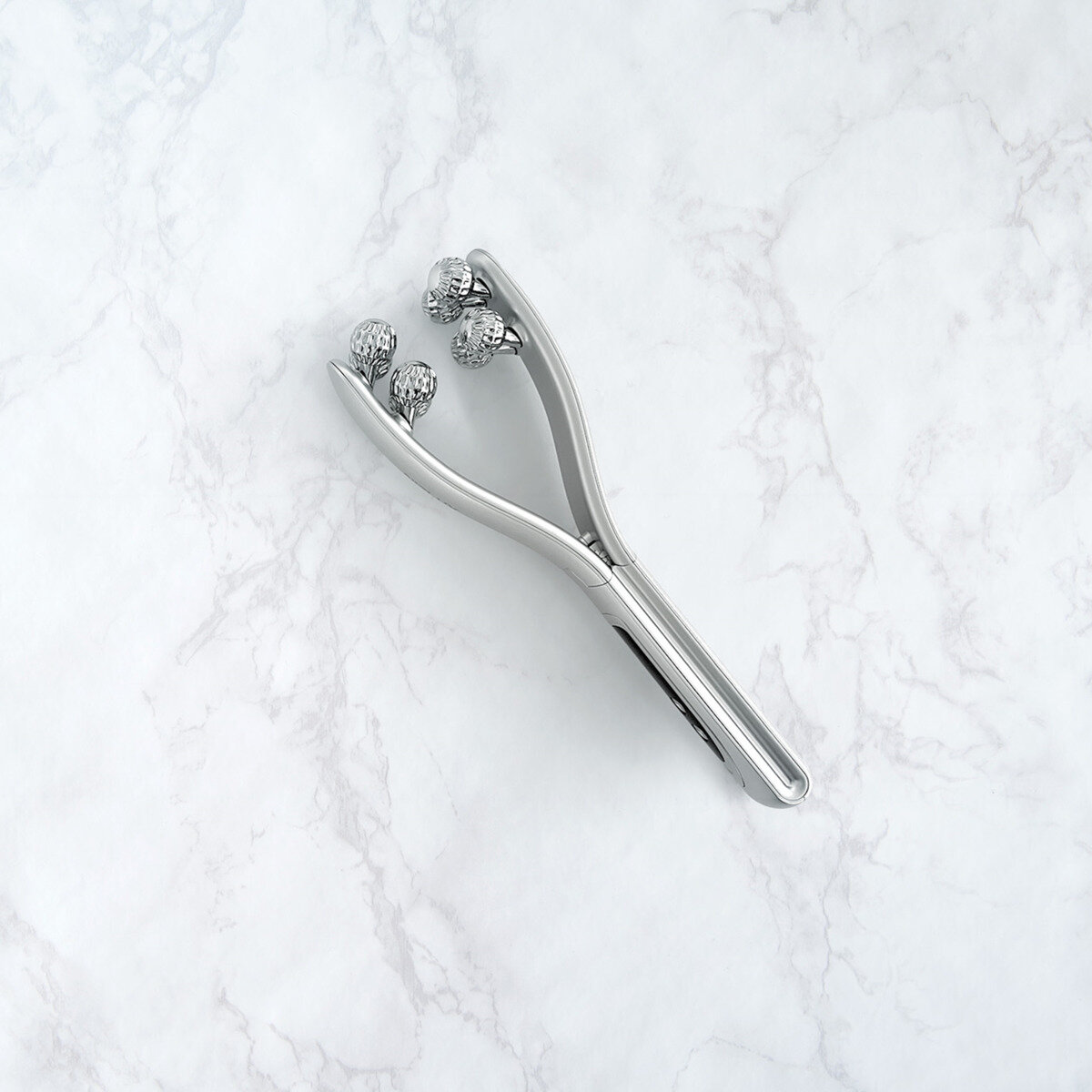 ニップラックス EMS 美顔ローラー べローラ NP-BRL23SV | Costco Japan