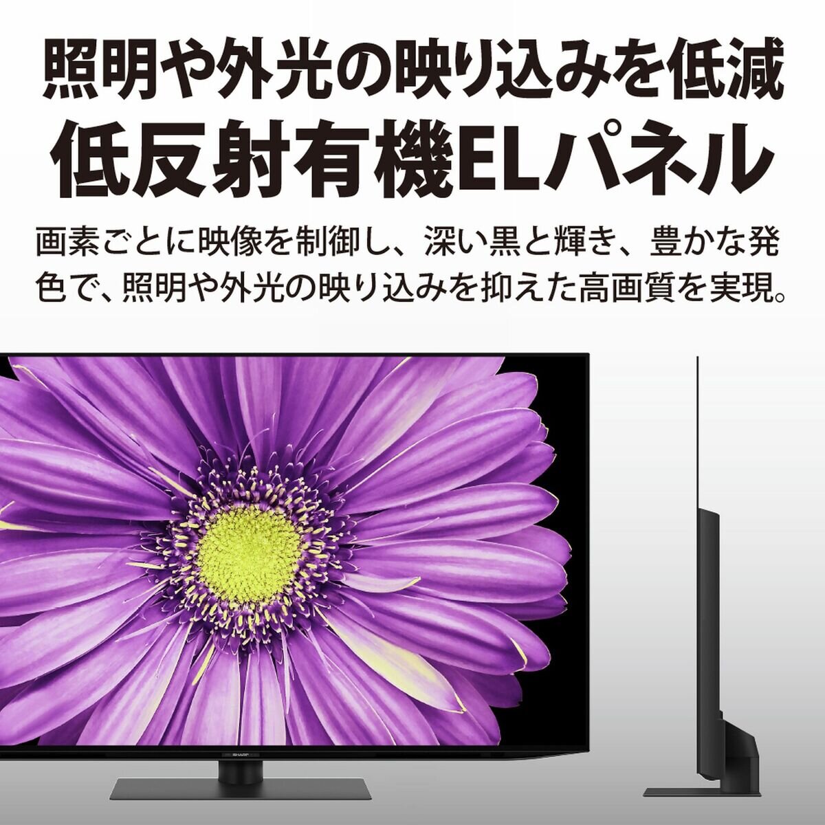 シャープ アクオス 65インチ4K有機ELテレビ 4T-C65DQ2 | Costco Japan