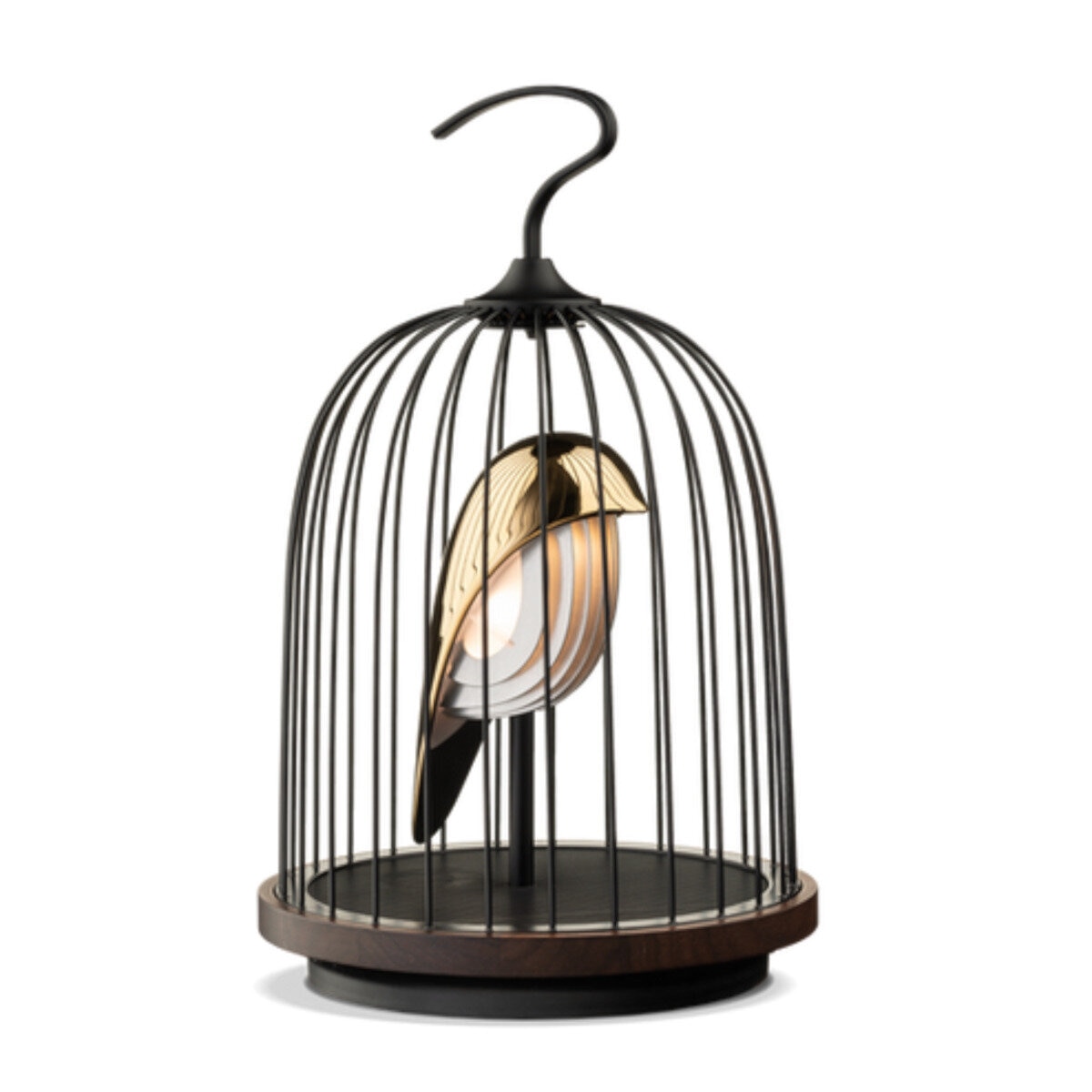 ダキコンセプト ジングー 照明＆Bluetoothスピーカー | Costco Japan