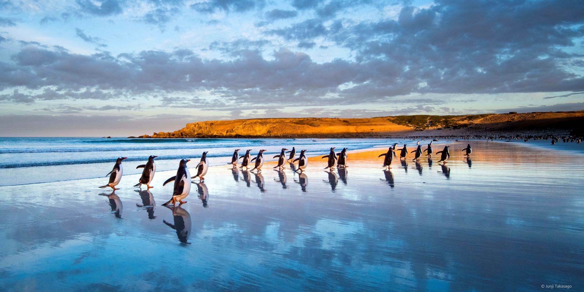 高砂淳二写真展 LIGHT on LIFE｜｜ミュゼふくおかカメラ館｜企画写真展