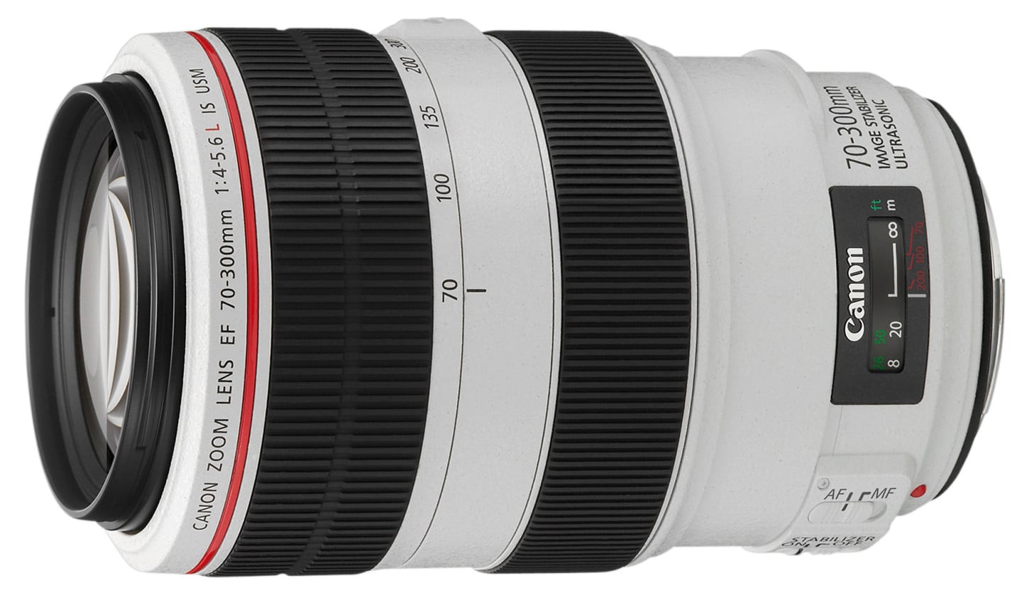 Canon EF 70-300mm f4-5.6L IS USM | Cameralabs