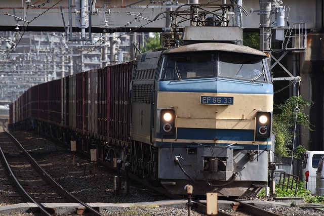 ニコン AF-S200-500mm/5.6E ED VR 使用レビュー