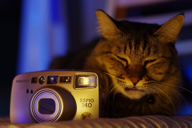 作例付き】smc PENTAX FA50mm f1.4 猫撮影レビュー