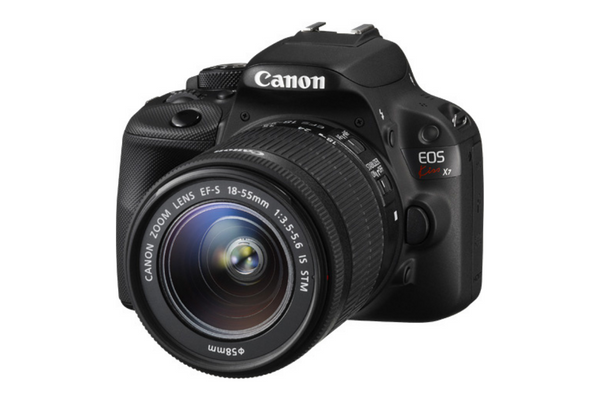 キヤノン EOS Kiss X7猫撮影レビュー【今でも最小・最軽量クラスの一眼