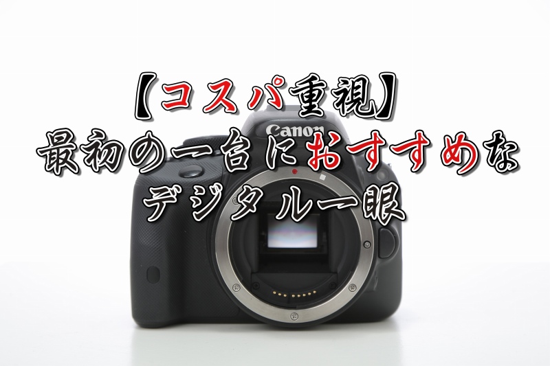 4万円以内！】最初の一台におすすめなデジタル一眼【作例あり