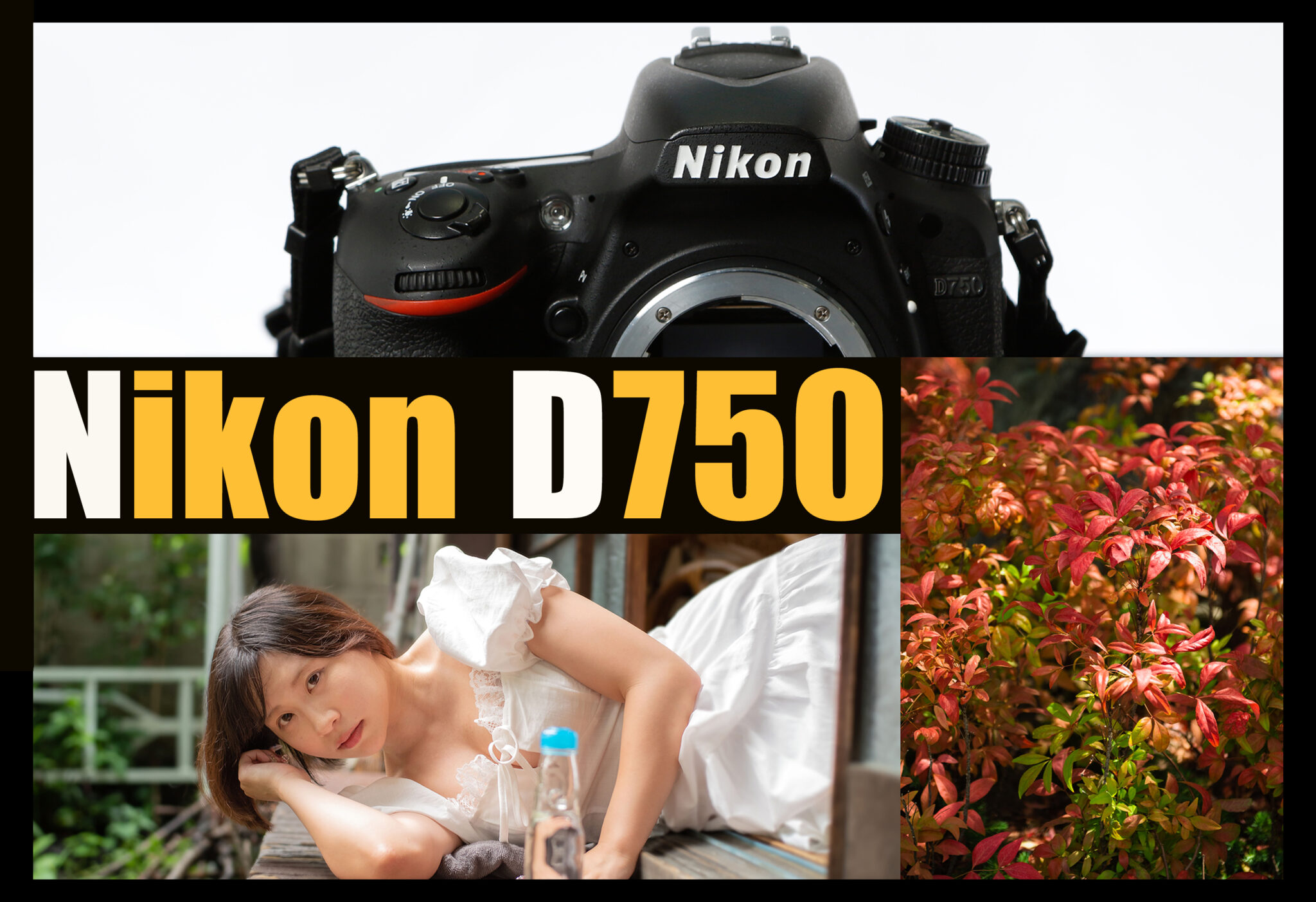 25ba510d0156b96605954a95be4466