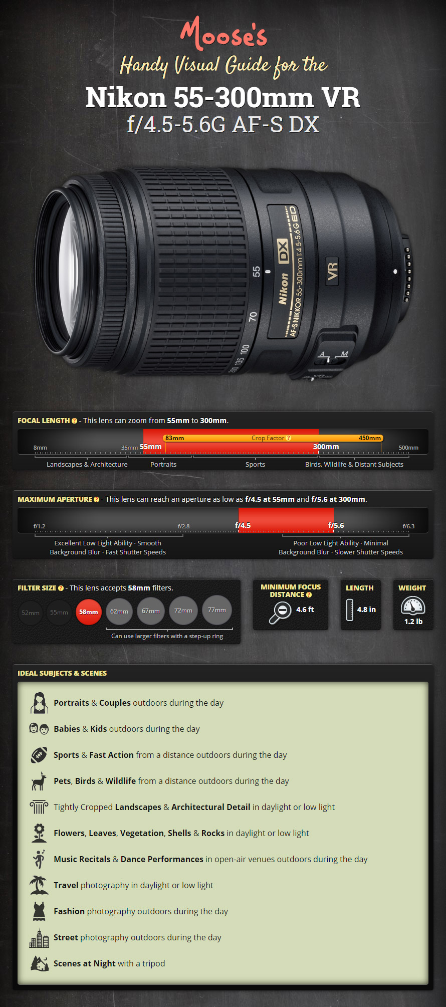 Nikon 55-300mm VR Lens Review & Visual Guide by Moose